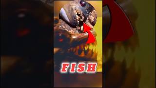 WORLDS Most DANGEROUS Fish Piranha fishing attack shorts deadly [upl. by Singhal]