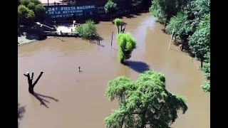 Imágenes aéreas de la creciente del Río Uruguay en Colón [upl. by Anafetse877]