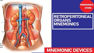 RETROPERITONEAL ORGANS MNEMONICS  EASY WAY TO REMEMBER ANATOMY [upl. by Airehs]