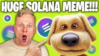 IS BENDOG THE NEXT 100X SOLANA MEME COIN TRENDING NOW 🔥 [upl. by Orlina]