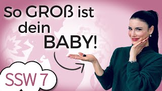 SSW 7 Kreislauf spielt verrückt  Baby ist so groß wie eine Heidelbeere  Mein Kinderwunsch [upl. by Yekcim]