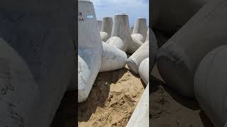 concrete tetrapods helps to resist the force of oceansoil erosion and waves [upl. by Ymereg]