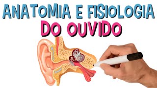 Anatomia e Fisiologia do Sistema Auditivo  Audição  Ouvido [upl. by Nelrac36]