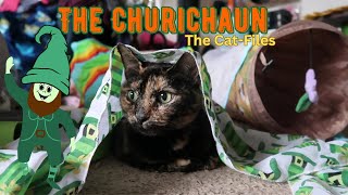 The Clurichaun  The CatFiles [upl. by Clarabelle]