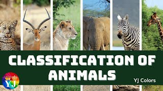 Classification of Animals  Types of animals  Vertebrates amp invertebrates  cocomelon  chuchutv [upl. by Oralia]