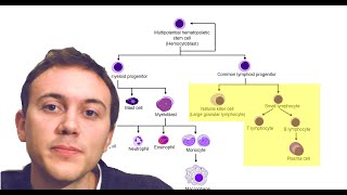 Blood Cancers Explained Leukemia Myeloma Lymphoma and more [upl. by Naget472]