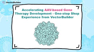 Accelerating AAVbased Gene Therapy Development Onestop Shop Experience from VectorBuilder [upl. by Dietz]