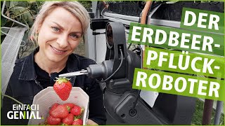 Ein Roboter als Erntehelfer  Einfach genial  MDR [upl. by Gnah]