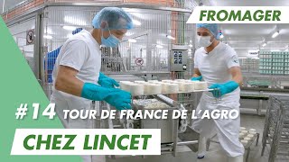 Viens fabriquer le fameux Chaource avec Ludovic fromager chez Lincet [upl. by Bjork]