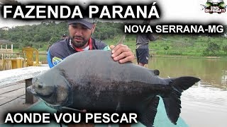 AONDE VOU PESCAR  FAZENDA PARANÁ  FINAL DE PESCARIA [upl. by Lyndsie]