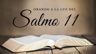 Salmo 11 Dios Es Mi Protección en Momentos Difíciles [upl. by Jay714]