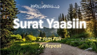 SURAT YASIN  SURAH YASEEN  2 Jam FUll [upl. by Sean]