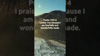 Psalm 13914 Fearfully and Wonderfully Made  Bible Study amp Reflection Psalm139 BibleVerse Faith [upl. by Atrebla825]