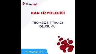 FİZYOLOGİC KAN FİZYOLOJİSİ  TROMBOSİT TIKACI OLUŞUMU [upl. by Enawtna]