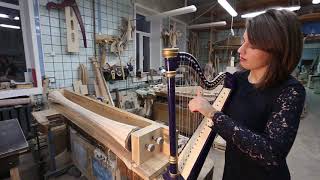 M Grandjany Reverie Veronika Lemishenko harp quotCaprisquot 21 strings [upl. by Aisatnaf]