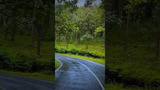 📍wayanad Kerala round tripwayanad kerala ytshorts travel nature viralvideoroadtrip lovesong [upl. by Kath206]