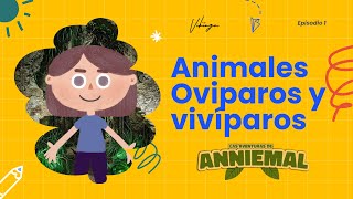 Las Aventuras de Anniemal I Episodio 1 Animales ovíparos y vivíparos [upl. by Anawaj]