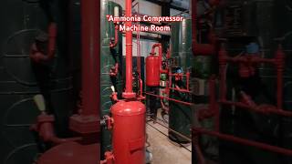 Amazing Design of Ammonia Compressor Machine Room shorts electrical refrigeration ammonia [upl. by Soisanahta640]