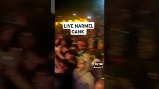 Live NarMel Gank Wamena papua pegungan u2023 lagudaerah [upl. by Able]