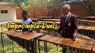 Marimba Masterclass impromptu Duets… 365days of Marimba day 300 😳 [upl. by Gnirol]