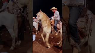 Monarca JL y Hector Rojas CaballoBailador [upl. by Dur]