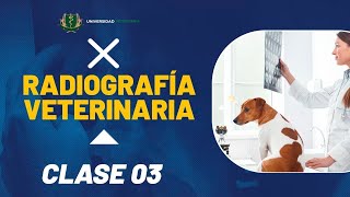 RADIOGRAFÍA VETERINARIA  CLASE 03 [upl. by Holzman76]