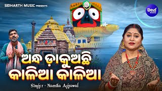 Andha Dakuachi Kalia Kalia  Emotional Jagannatha Bhajan  Namita Agrawal  ଅନ୍ଧ ଡାକୁଅଛି କାଳିଆ କାଳିଆ [upl. by Ark]