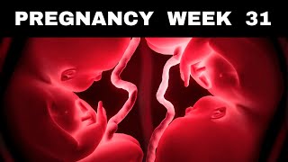 Pregnancy Week 31  Cravings Kicks Symptoms amp Baby Growth [upl. by Yerac267]