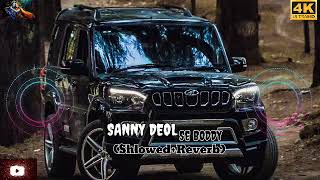 Sanny DEOL se boddy 💪😍shlowed reverbraju panjavi🎶💫 [upl. by Netsirhc]