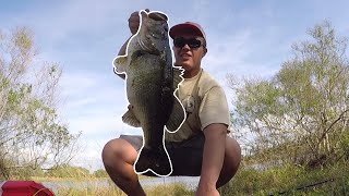 Fishing Brackish Water for Snook Bass Redfish and More [upl. by Havot]