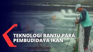 Efishery Mengangkat Produktivitas Budidaya Ikan dengan Teknologi [upl. by Signe]