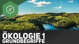 Grundbegriffe der Ökologie  Ökologie 1 [upl. by Eissolf]