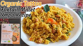 Organic Tattva Foxtail Millet Review  Foxtail Millet Upma Recipe  How to cook Foxtail Millet [upl. by Aenea]