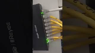 Ruijie Networks Switch  installed access point [upl. by Tammi288]