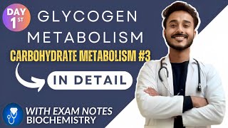 glycogen metabolism biochemistry  glycogenesis biochemistry  glycogenolysis biochemistry [upl. by Nivlad]