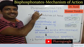 Bisphosphonates Pharmacology II Bisphosphonate Pharmacology II Bisphosphonate Mechanism of Action II [upl. by Llertnac730]