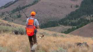 Chukar Hunting 2013  First Two Weeks [upl. by Farris]