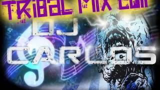 TRIBAL MIX 2011 6 DJ Carlos [upl. by Merlin1]