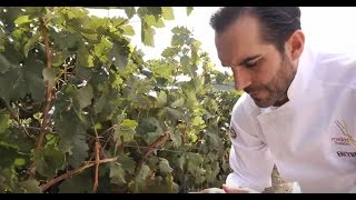 Los Polifenoles del Vino  Vinesenti [upl. by Nagap]