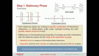 Capillary GC Column Selection and Method Development [upl. by Halverson]