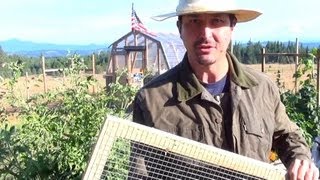 Compost Screen  How To Build One [upl. by Mun]