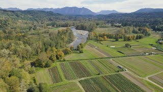 King County’s largestever floodplain restoration project [upl. by Enylhsa]