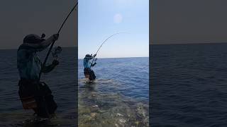 Shore jigging is my favorite game 💪 fishing nature fyp seanature صيد صيدالسمك pescadores [upl. by Araccot]