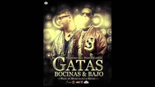 Gatas Bocinas y Bajos  Farruko ft Daddy Yankee [upl. by Edna]