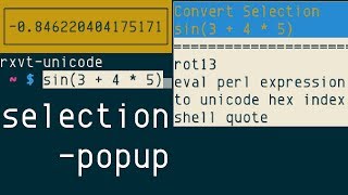 rxvtunicode urxvt selectionpopup extension [upl. by Assyli713]