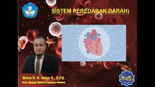 PEMBELAJARAN SISTEM PEREDARAN DARAH [upl. by Dimphia]