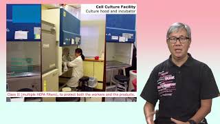 Cytotoxicity Assays 1 In vitro study and cell culture [upl. by Lenna]