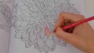 Coloring flower of positively Zen by Alligator products [upl. by Barcus911]