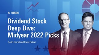 Dividend Stock Deep Dive Midyear 2022 Picks [upl. by Naryb262]