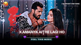 Kamariya Aithe Lagi Ho  Slowed  Reverb  Khesari lal Yadav Lofi Songs Palang Sagwan Ke [upl. by Sinnod]